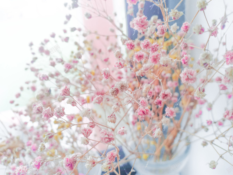 粉色小清新满天星背景jpg设计背景_新图网 https://ixintu.com 花 小清新 文艺 粉色 满天星