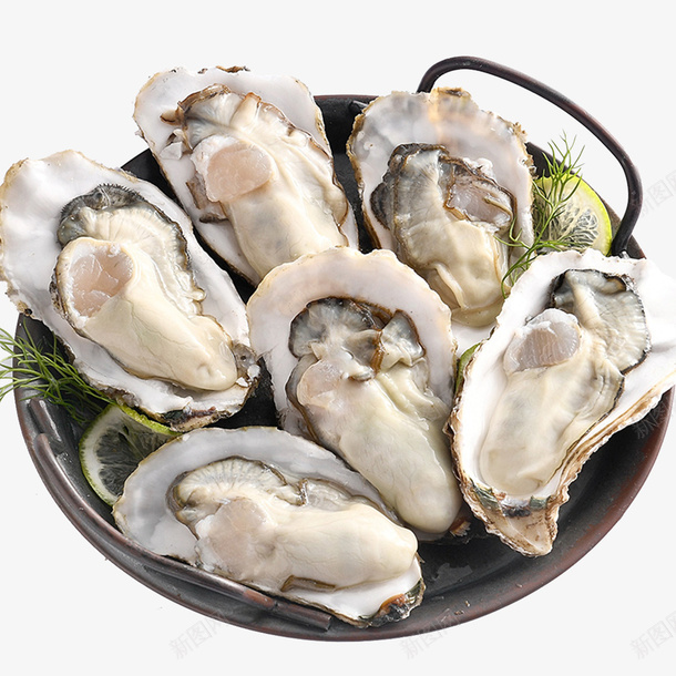 野生大生蚝肉多png免抠素材_新图网 https://ixintu.com 野生大生蚝 大生蚝 烧烤生蚝 美味 食品