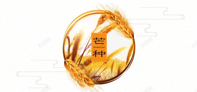 二十四节气芒种黄色稻谷bannerjpg设计背景_新图网 https://ixintu.com 中华传统节日 二十四节气 芒种节气 稻谷 黄色 简约 复古 文艺