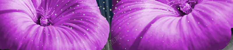艺术花纹字体psd高清背景_新图网 https://ixintu.com 艺术花纹字体 奢华女装广告 古典艺术花纹