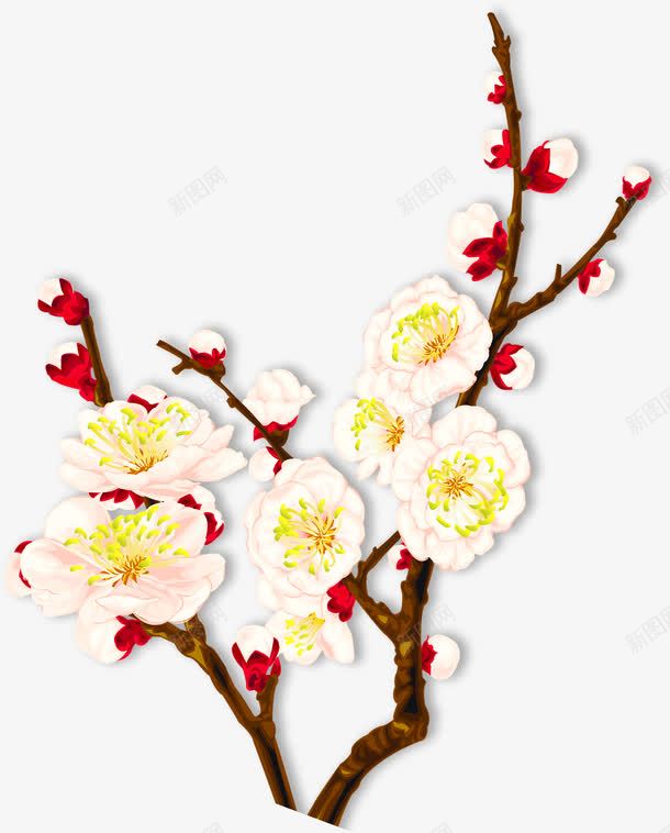 手绘合成水彩白色的桃花效果png免抠素材_新图网 https://ixintu.com 合成 水彩 白色 桃花 效果