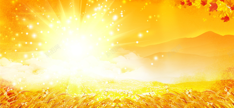 秋风banner背景psd设计背景_新图网 https://ixintu.com 橙色 秋天 秋景 落叶 黄昏 海报banner