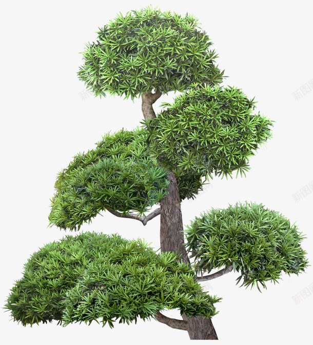 绿色植物免抠PNGpng免抠素材_新图网 https://ixintu.com PNG 免抠 植物 绿色