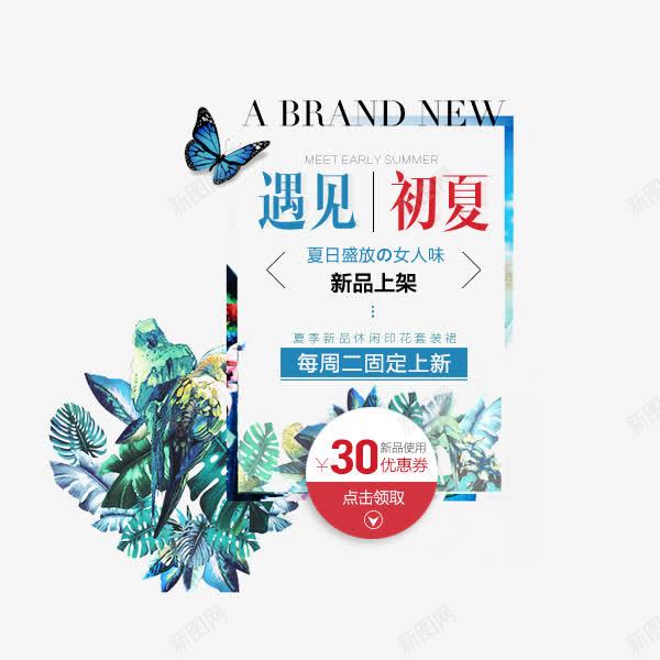 遇见初夏png免抠素材_新图网 https://ixintu.com 花 蓝色调 图案设计 商用 2017 初夏 夏日 夏天 夏季 夏上新 夏季上新 夏季促销 夏日特惠 淘宝夏季促销 夏季打折 夏季大促销
