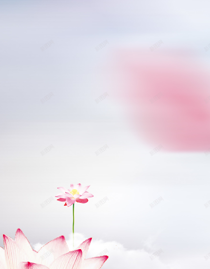 夏至时节荷韵宣传海报H5背景psd下载psd设计背景_新图网 https://ixintu.com 夏至 24节气 二十四节气 传统节气 夏至节气 荷花 荷叶 荷韵 莲花 花朵 夏季 夏天 H5 h5