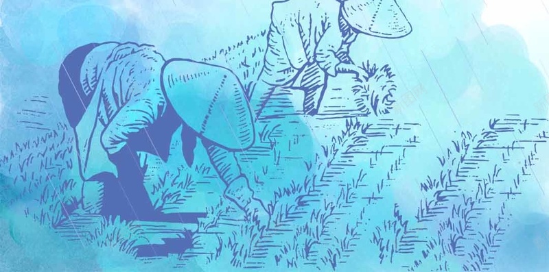 初夏夏季乌云粮食PSD分层H5背景素材psd设计背景_新图网 https://ixintu.com 乌云 初夏 唯美 夏季 粮食 梦幻 花草 蓝色 清新 夏天PSD分层H5背景素材