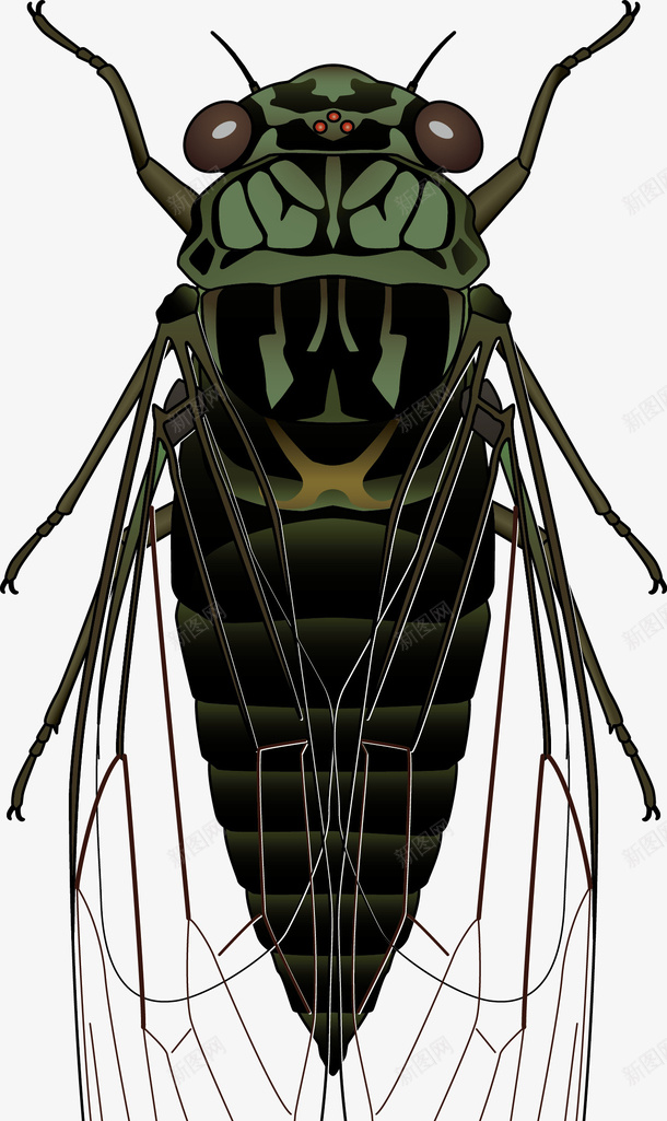 昆虫蝉PNG素材png免抠素材_新图网 https://ixintu.com 昆虫蝉PNG图片素材 昆虫蝉 PNG图片 昆虫 蝉 知了