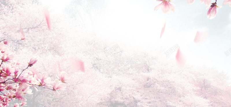 粉色桃花节花瓣背景素材jpg设计背景_新图网 https://ixintu.com 粉色桃花背景 飘落桃花 桃花 粉色 背景 桃花节 桃花背景 女人节背景 粉色背景