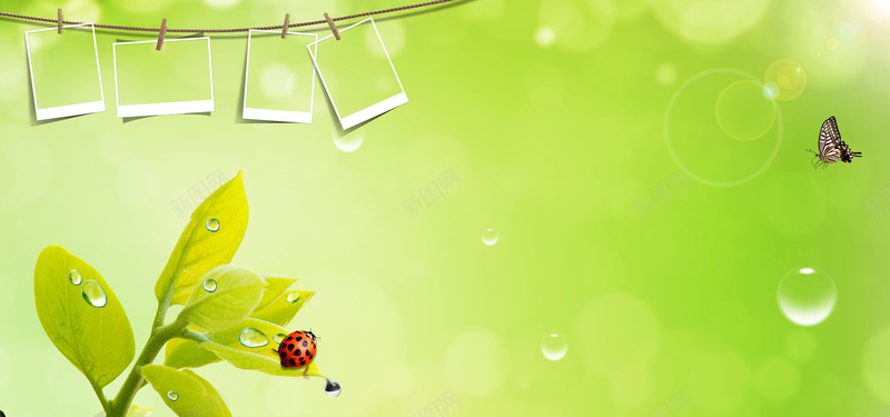 夏天甲壳虫温馨绿色养眼贺卡bannerjpg设计背景_新图网 https://ixintu.com 甲壳虫 养眼 夏天 温馨 绿色 贺卡 海报banner 卡通 童趣 手绘