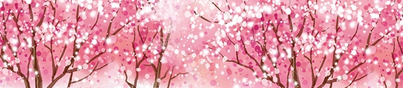 浪漫樱花七夕情人节促销海报背景psdpsd设计背景_新图网 https://ixintu.com 浪漫 樱花 七夕 情人节 促销海报 psd 护肤品 七夕礼物 表白