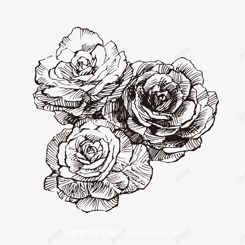 甘蓝线稿素描手绘植物花水仙菊化妆品包装海报平面AI矢量设计抠图png免抠素材_新图网 https://ixintu.com 甘蓝 线稿 素描 手绘 植物 水仙 化妆品 包装 海报 平面 矢量