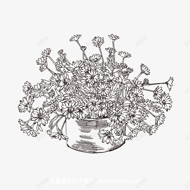 玛格丽特线稿素描手绘植物花水仙菊化妆品包装海报平面AI矢量设计抠图png免抠素材_新图网 https://ixintu.com 玛格丽特 线稿 素描 手绘 植物 水仙 化妆品 包装 海报 平面 矢量