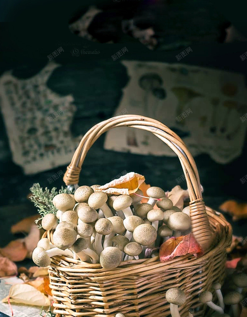 蘑菇水果蔬菜jpg_新图网 https://ixintu.com 蘑菇 水果 蔬菜