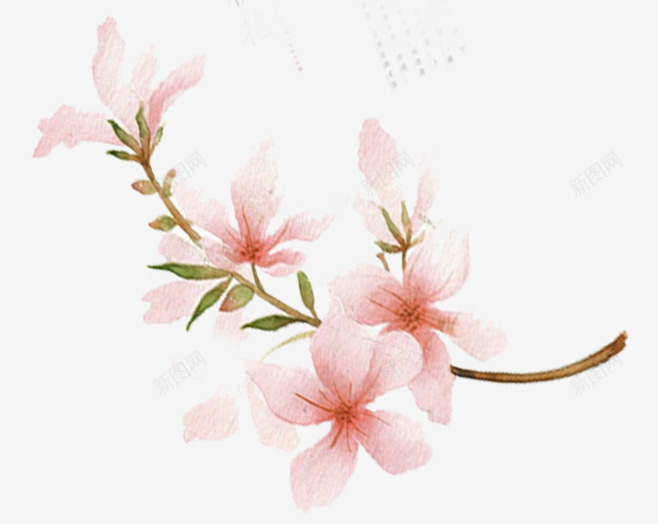 好看的水彩png免抠素材_新图网 https://ixintu.com 好看 看的 水彩