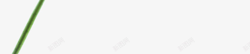 手绘水彩卡通绿色四叶草花卉png免抠素材_新图网 https://ixintu.com 手绘 水彩 卡通 绿色 叶草 花卉