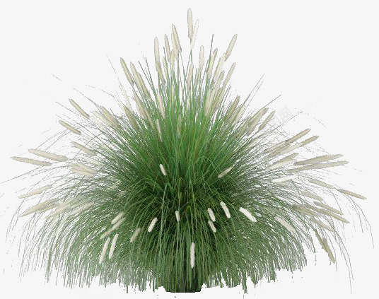 草花草花抠图png免抠素材_新图网 https://ixintu.com 花草 花抠