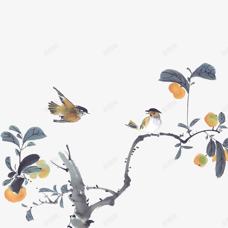 国画花鸟植物png免抠素材_新图网 https://ixintu.com 国画 花鸟 植物 中国风