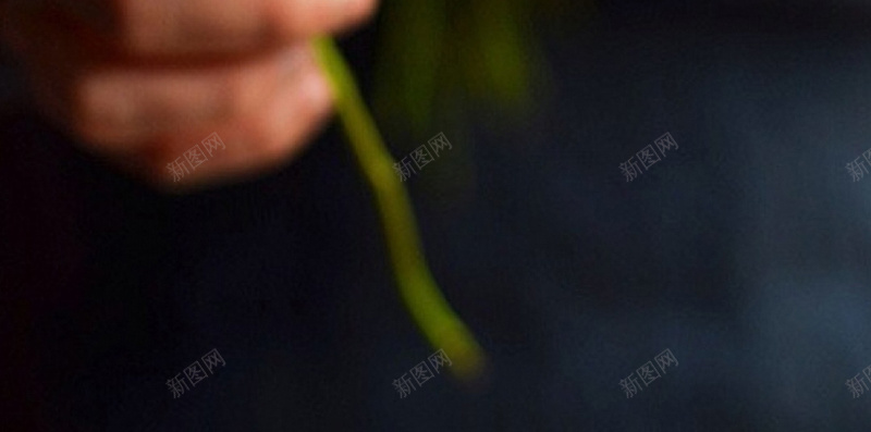 玫瑰花表白背景jpg高清背景_新图网 https://ixintu.com 玫瑰花 背景 花朵 表白 花 唯美 文艺 小清新 简约