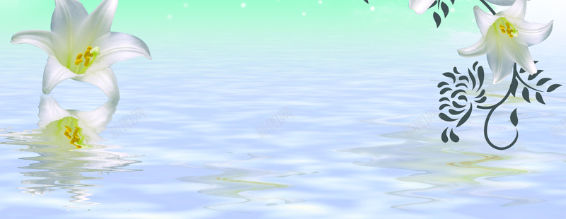 百合花倒影背景psd设计背景_新图网 https://ixintu.com 海报banner 白色 线条 花朵 百合花倒影背景