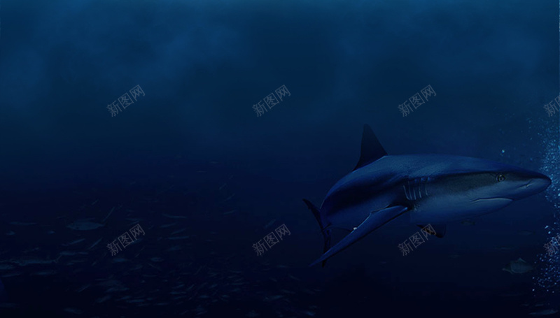 蓝色6月冰爽夏季促销海报背景素材psd设计背景_新图网 https://ixintu.com 促销海报 冰块 冰山 冰爽夏季 冰爽节 模型 活动 蓝色 蓝色6月冰爽夏季促销海报psd 购物有礼