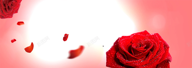 女装bannerpsd设计背景_新图网 https://ixintu.com 红色玫瑰花 连衣裙海报 服装海报 连衣裙 背景 玫瑰花飘落 海报banner 浪漫 梦幻