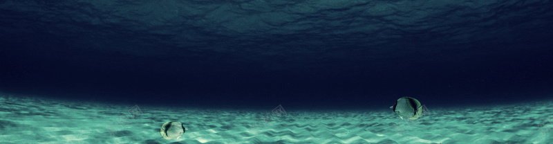 海底世界背景jpg设计背景_新图网 https://ixintu.com 横幅背景 海洋 鱼 海报banner 摄影 全屏banner背景 风景