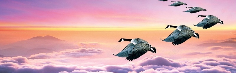 大雁团队企业文化jpg设计背景_新图网 https://ixintu.com 海报banner 企业文化 横幅背景 科幻 科技 全屏banner背景 商务