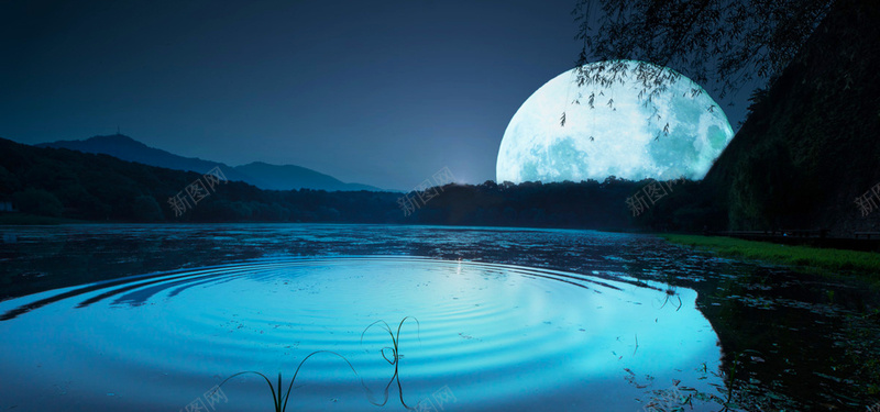 水面月亮背景图jpg设计背景_新图网 https://ixintu.com 水面 月亮 波纹 柳树 海报banner 摄影 风景