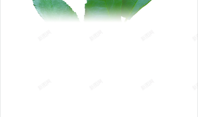 绚丽三八节背景素材psd设计背景_新图网 https://ixintu.com 妇女节快乐 蝴蝶剪影 三八 剪影 女人 玫瑰花 women 海报