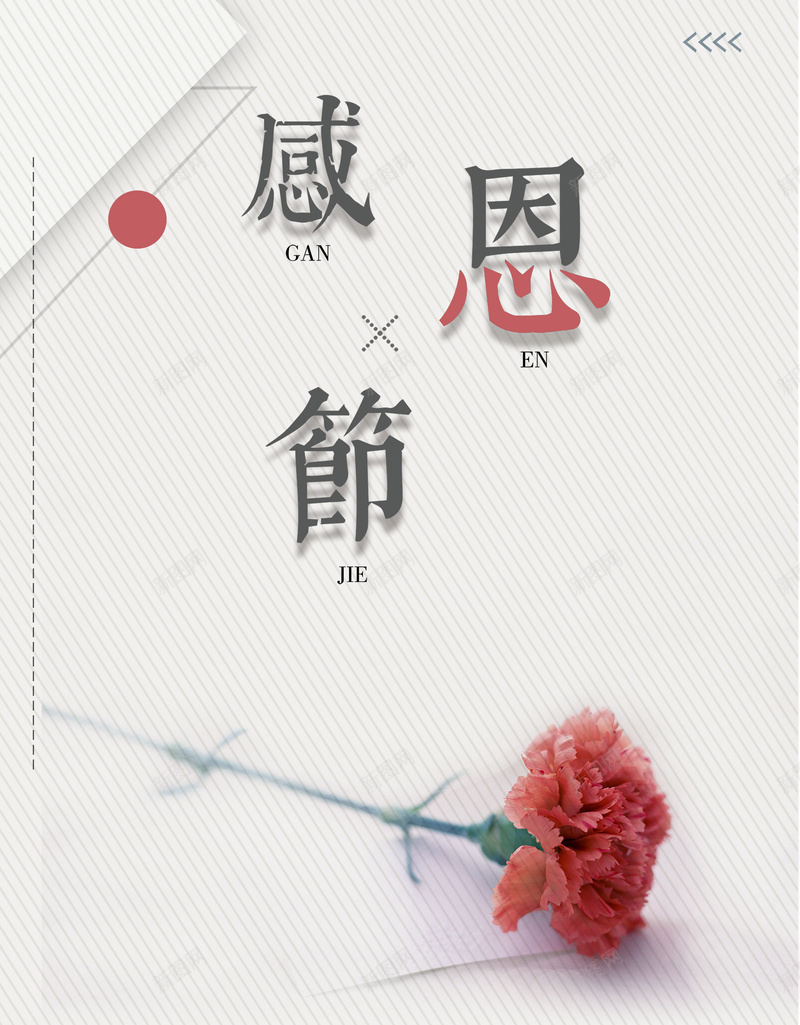 简约感恩节康乃馨海报背景psdjpg设计背景_新图网 https://ixintu.com 海报背景 psd 康乃馨 感恩节 简约 感恩节促销 感恩节海报 条纹