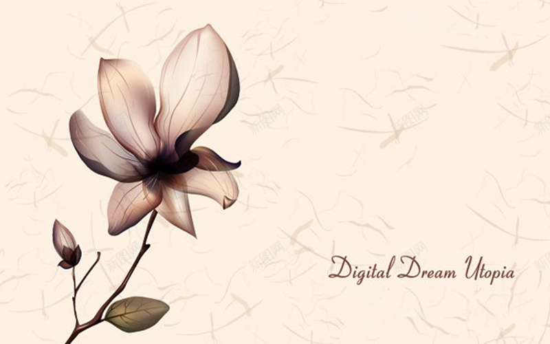 素雅花卉褶皱背景矢量图psd设计背景_新图网 https://ixintu.com 透明花朵 叶子 素雅 花卉 花朵 褶皱 卡片背景 矢量图 浪漫 梦幻