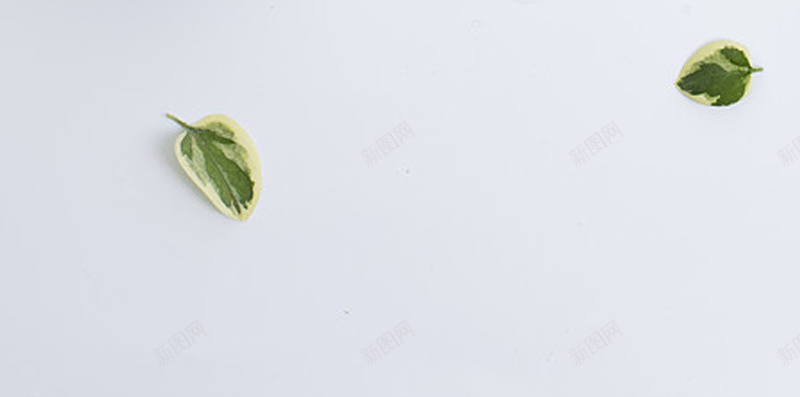 零碎的玫瑰花H5背景jpg设计背景_新图网 https://ixintu.com 花 花朵 玫瑰 幸福 文艺 零碎的花 小清新 简约