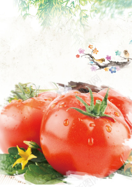 清新海报西红柿果蔬促销海报宣传单背景素材背景