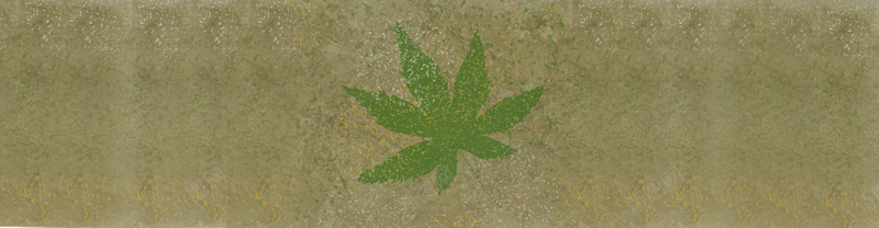 牛皮纸底纹绿色树叶背景背景