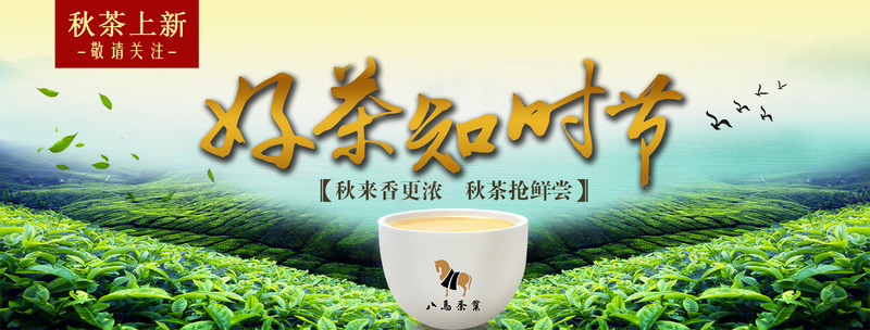 绿色清新好茶知时节宣传海报psd设计背景_新图网 https://ixintu.com 茶叶海报 新茶上市 茶叶背景 茶杯 茶园 好茶知时节 绿叶 海报banner 文艺 小清新 简约