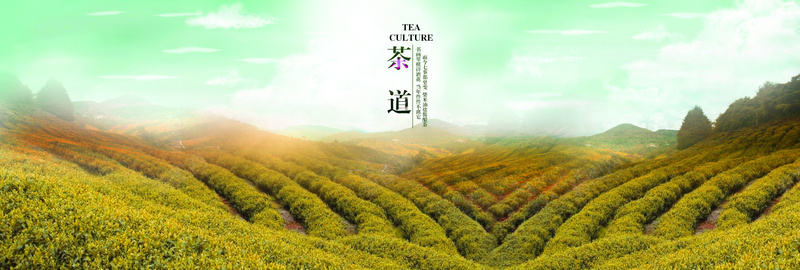 梦幻茶山背景psd设计背景_新图网 https://ixintu.com 天空背景 山村背景 梦幻背景 绿化背景 茶山背景 叶子背景 田野背景 海报背景 活动背景 海报banner 浪漫 梦幻