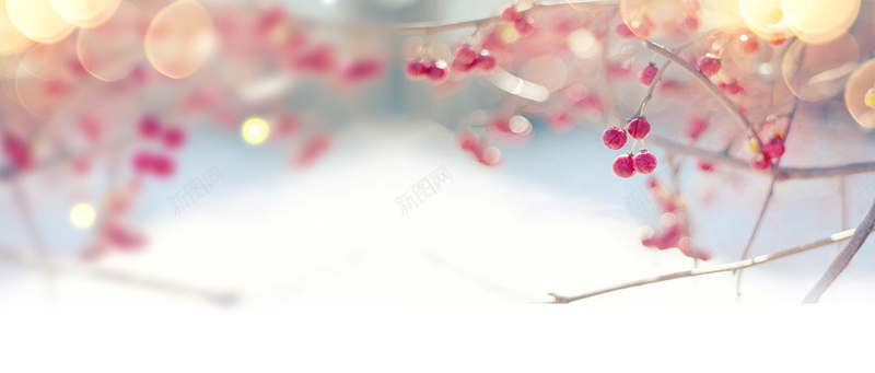 梦幻背景psd设计背景_新图网 https://ixintu.com 宝石背景 花朵 色彩 首饰背景 唯美 珠宝海报 唯美花朵 海报banner 浪漫 梦幻