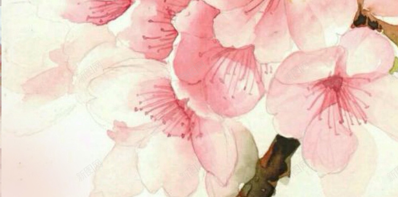 水墨手绘桃花背景jpg设计背景_新图网 https://ixintu.com 水墨桃花 水彩 水彩桃花 手绘桃花 背景 卡通 童趣 手绘