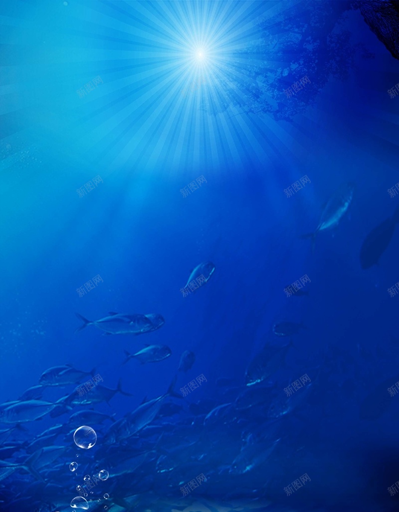 海底世界背景psd设计背景_新图网 https://ixintu.com 海底 珊瑚 鱼 蓝色背景 浪漫 梦幻