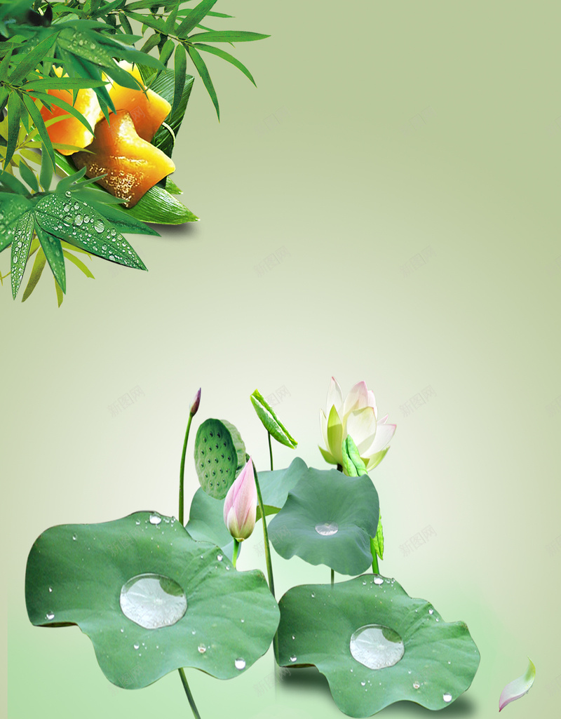 端午节海报背景素材jpg设计背景_新图网 https://ixintu.com 端午节 荷花 荷叶 竹子 端午飘香 粽子 端午节素材 端午节模板 端午节海报 端阳节 赛龙舟 粽香