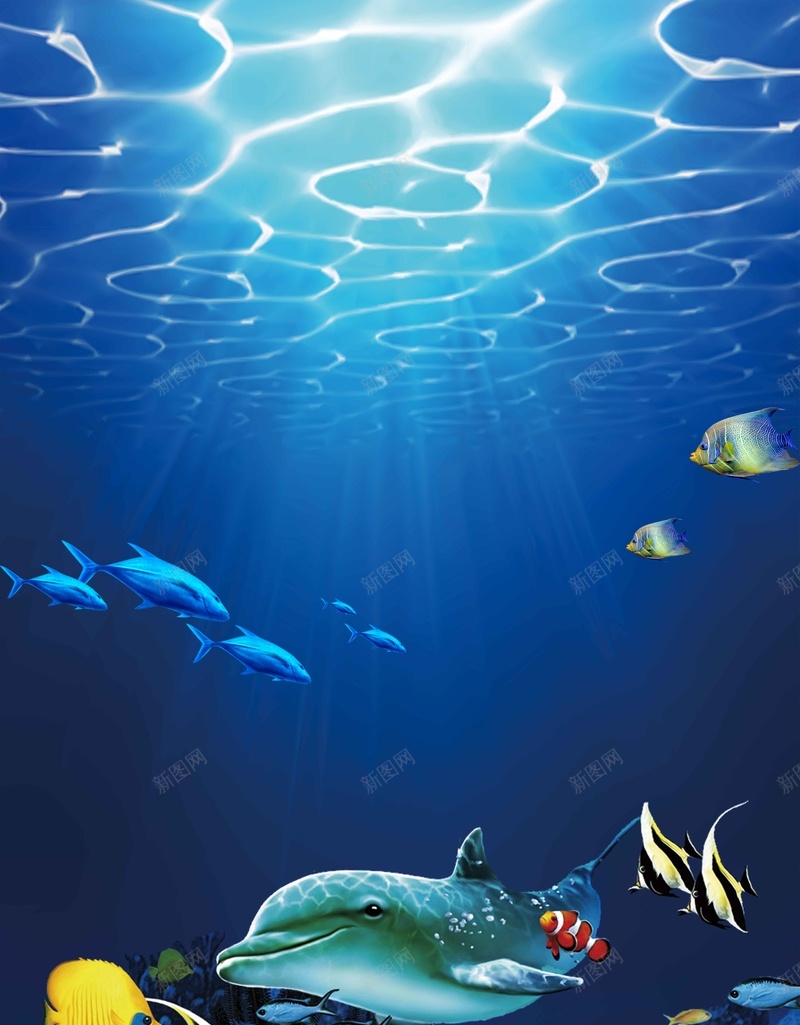 蓝色海洋世界宣传推广活动jpg设计背景_新图网 https://ixintu.com 海洋世界 蓝色 深海 海洋馆 海豚 鱼 大海 蓝海 波纹 旅游 潜水 珊瑚 水波