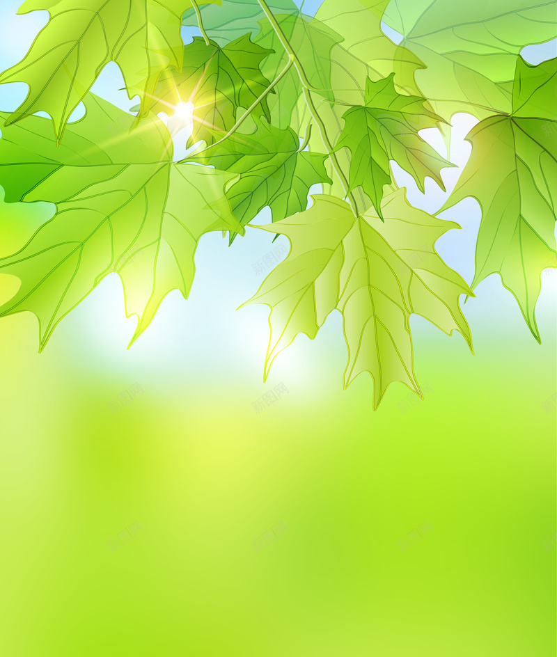 春天气息绿叶背景春季海报jpg设计背景_新图网 https://ixintu.com 春天吊旗 春天广告 春天气息 春季海报 绿叶背景 春天来了 蓝天 繁星 自然景观 风景