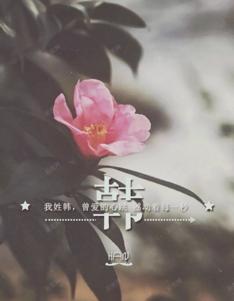文艺花卉H5背景jpg设计背景_新图网 https://ixintu.com 文字控 百家姓 姓氏 情书 花卉 姓名 H5背景 文艺 树叶 H5 h5