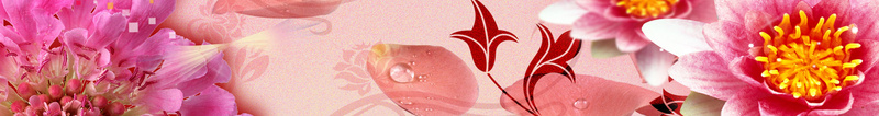 花卉三八妇女节海报背景素材psd设计背景_新图网 https://ixintu.com 花 花卉 海报 背景 妇女节 三八 妇女节海报 花卉海报 文艺 小清新 简约