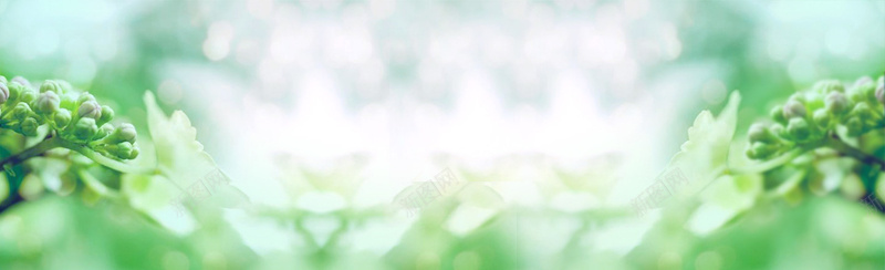 绿叶淘宝广告bannerjpg设计背景_新图网 https://ixintu.com 海报banner
