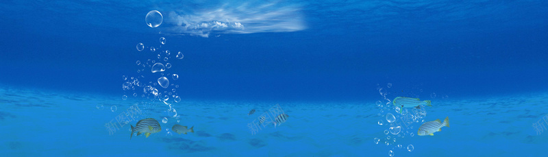 蓝色海洋海底清新背景bannerjpg设计背景_新图网 https://ixintu.com 蓝色 海洋 海底 清新 背景 banner 水泡 鱼群 海报banner 其他