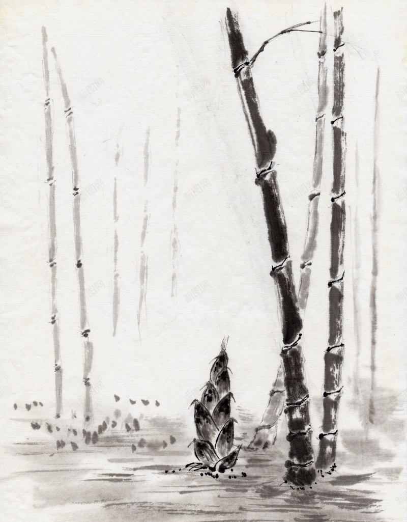 竹子竹笋中国风水墨海报背景素材jpg高清背景_新图网 https://ixintu.com 背景 海报背景 海报素材 国风 海报水墨 海报 水墨 竹笋 水墨竹子 中国风