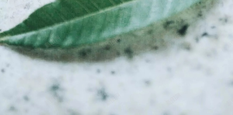 小清新绿色树叶艺术摄影H5背景jpg设计背景_新图网 https://ixintu.com 小清新 绿色 树叶 艺术 摄影 背景模糊 斑点 微距