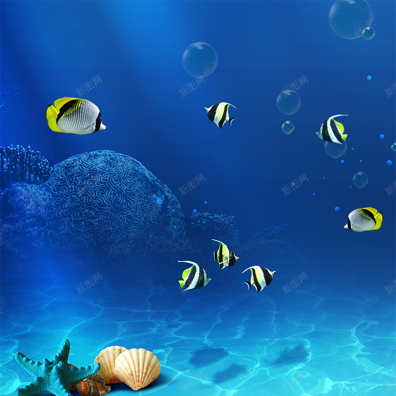 海底背景主图psd设计背景_新图网 https://ixintu.com 海洋 鱼 海底世界 贝壳 化妆品背景 海底背景 主图 浪漫 梦幻