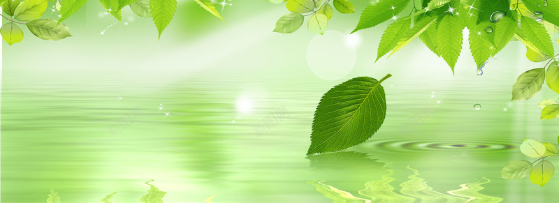 护肤绿色水纹水珠背景bannerjpg设计背景_新图网 https://ixintu.com 护肤 绿色 水纹 水珠 背景 banner 海报banner 其他